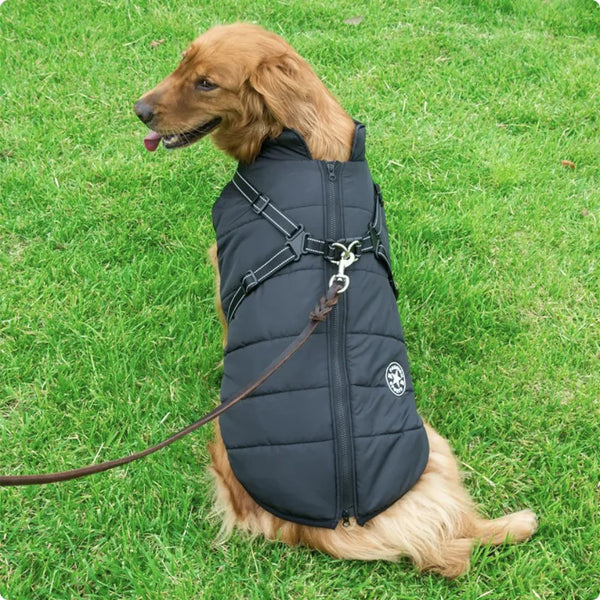Iyer's Pet Co - Reflective Waterproof Dog Coat