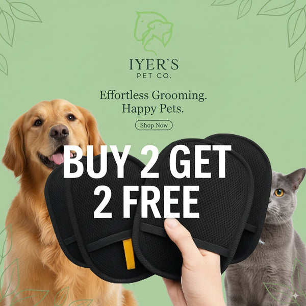 🐾 Iyer's Pet Hair Removal Glove