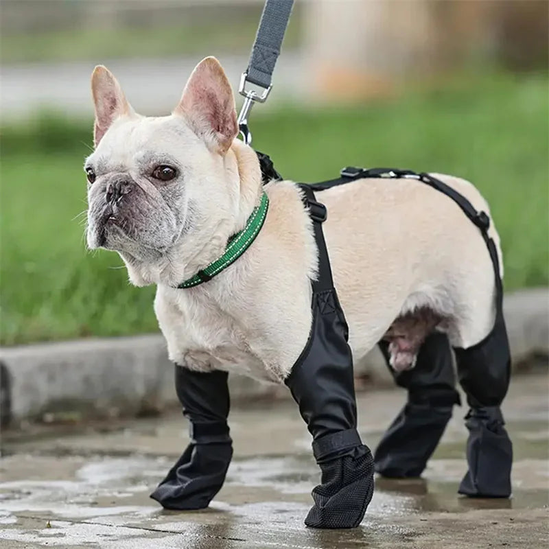 Iyer's Pet Co - Waterproof Adjustable Dog Boots