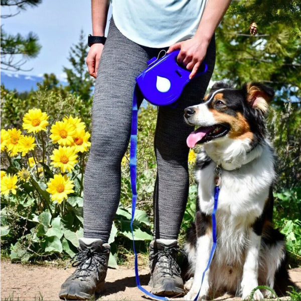 Iyer's Pet Co - Automatic Retractable Leash