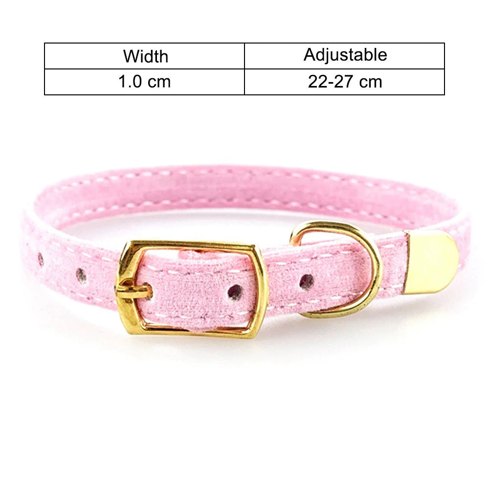 Iyer's Pet Co - Stylish Cat Collar