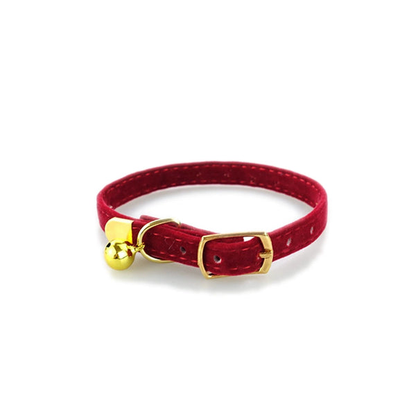 Iyer's Pet Co - Stylish Cat Collar