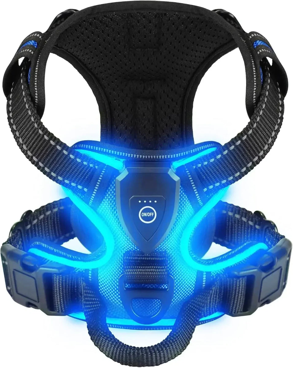 GlowPaws LED Dog Harness
