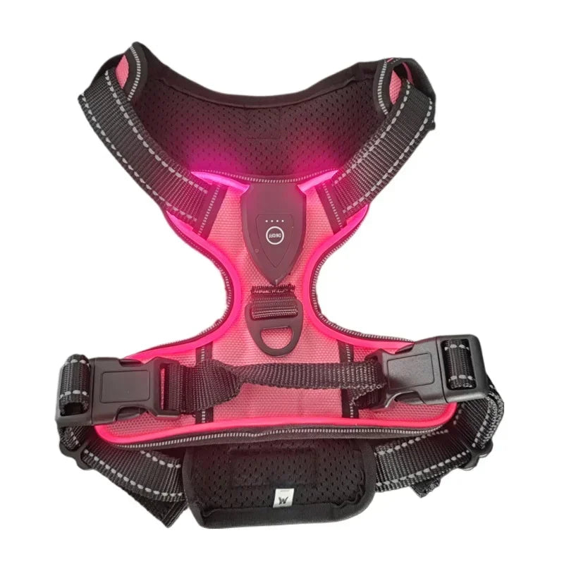 GlowPaws LED Dog Harness