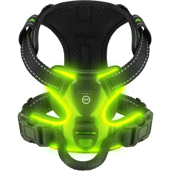 GlowPaws LED Dog Harness
