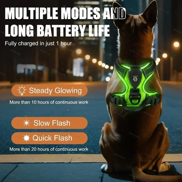 GlowPaws LED Dog Harness