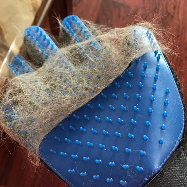 Iyer's Pet Co - Pet Massage Glove