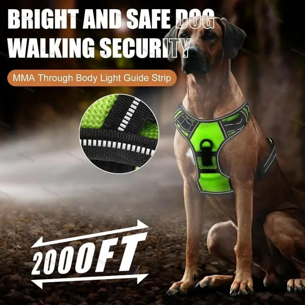GlowPaws LED Dog Harness