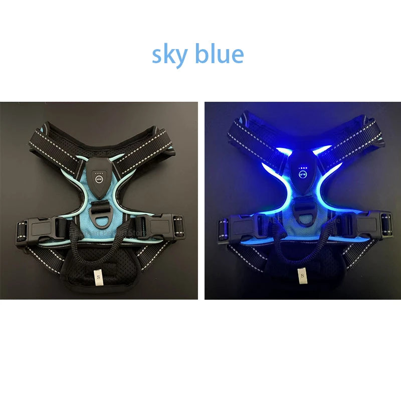 GlowPaws LED Dog Harness