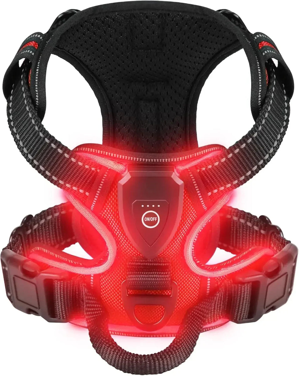 GlowPaws LED Dog Harness
