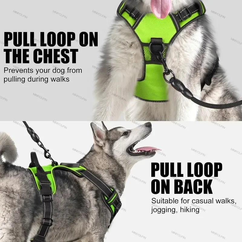 GlowPaws LED Dog Harness