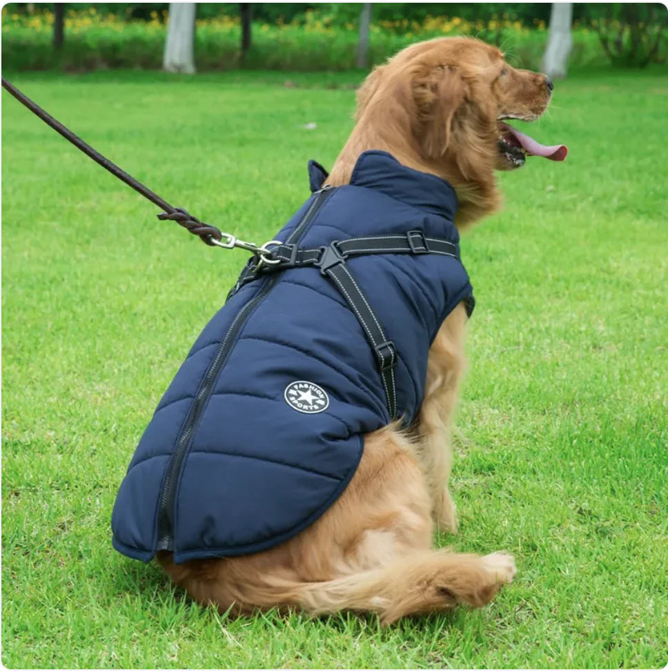Iyer's Pet Co - Reflective Waterproof Dog Coat