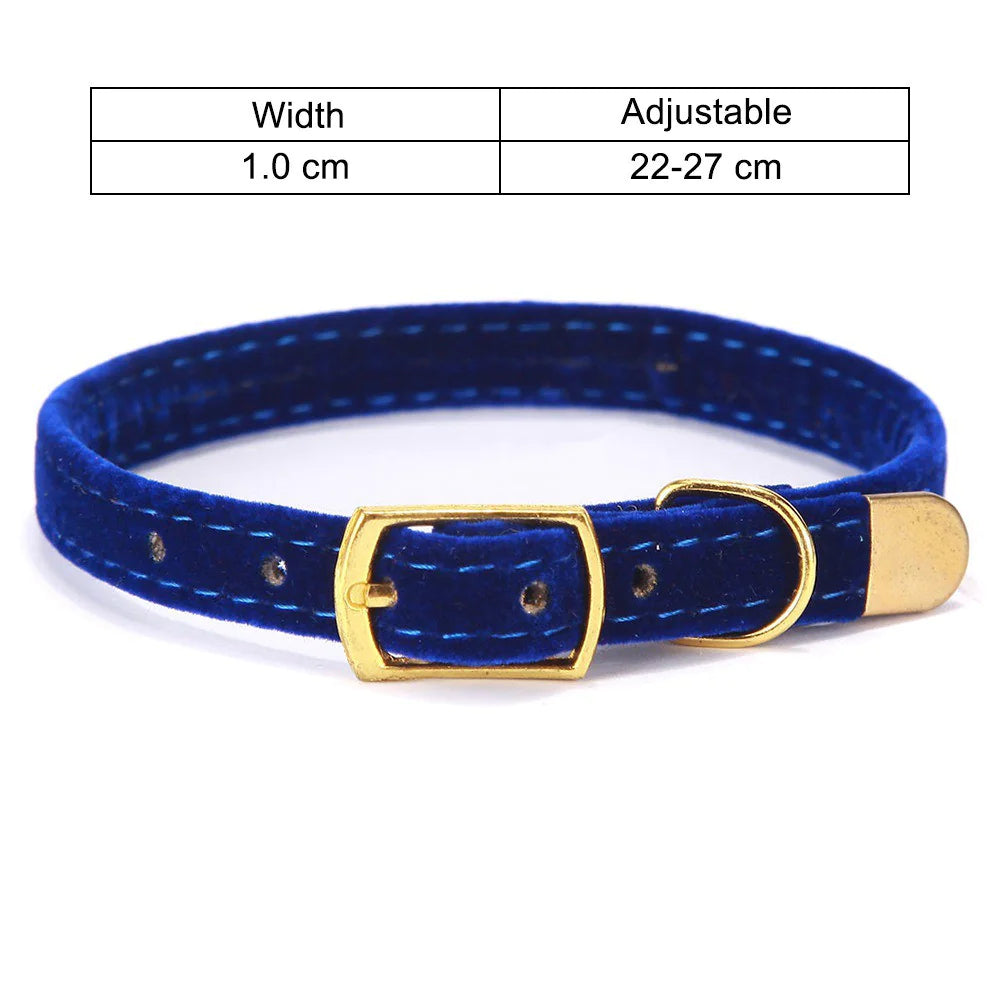 Iyer's Pet Co - Stylish Cat Collar