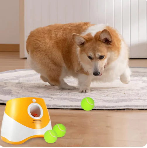 Iyer's Pet Co - FetchPro