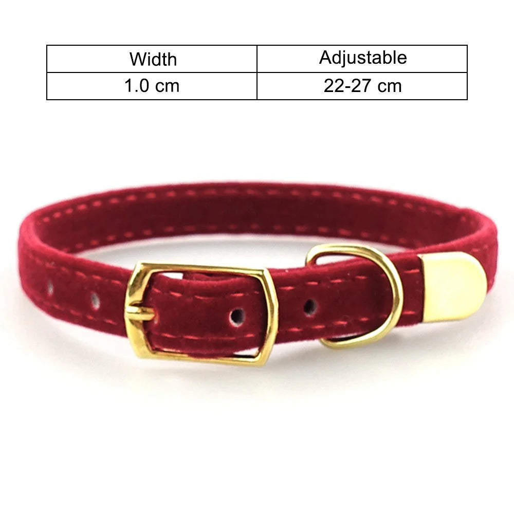 Iyer's Pet Co - Stylish Cat Collar