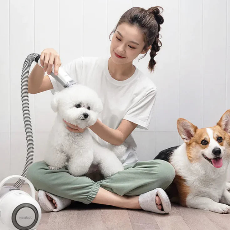 Iyer's Pet Co - Pro Grooming Comb