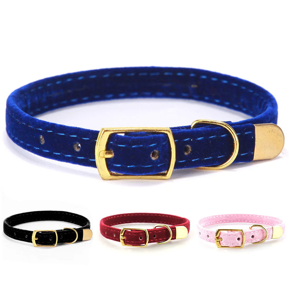 Iyer's Pet Co - Stylish Cat Collar