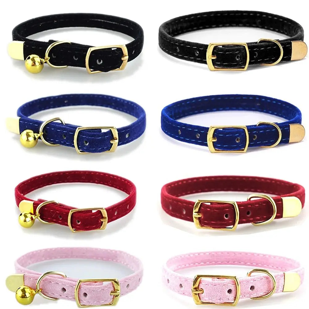 Iyer's Pet Co - Stylish Cat Collar