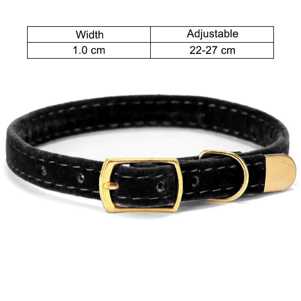 Iyer's Pet Co - Stylish Cat Collar