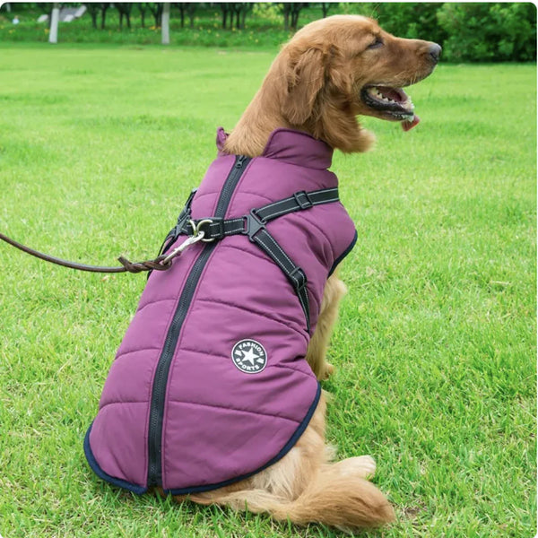 Iyer's Pet Co - Reflective Waterproof Dog Coat