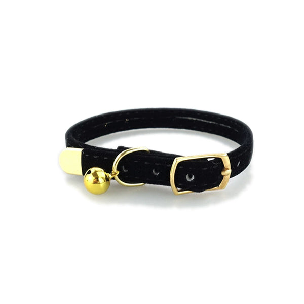 Iyer's Pet Co - Stylish Cat Collar