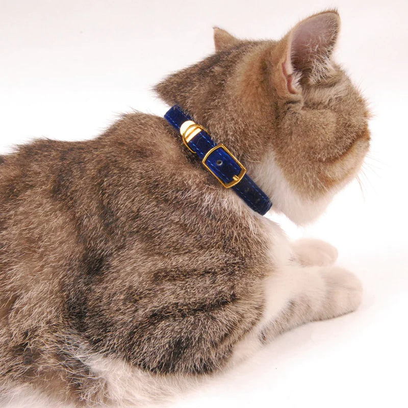 Iyer's Pet Co - Stylish Cat Collar