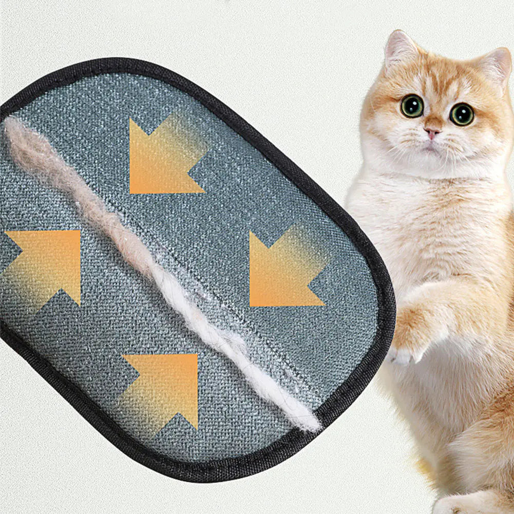 Iyer's Pet Co - Pet Hair Remover Glove