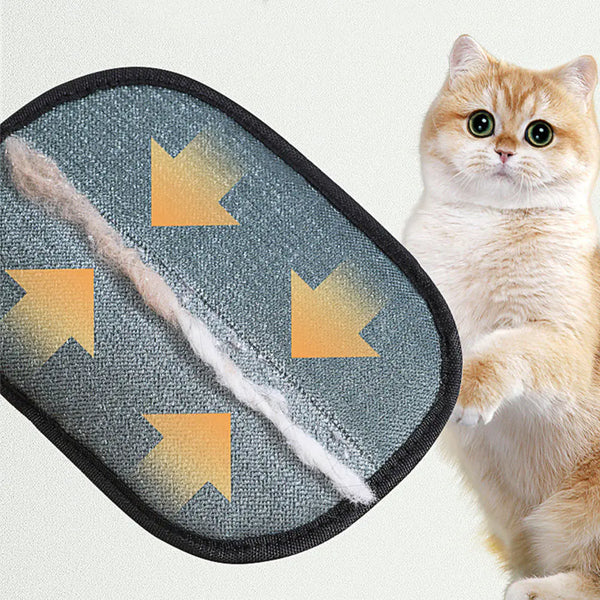 Iyer's Pet Co - Pet Hair Remover Glove