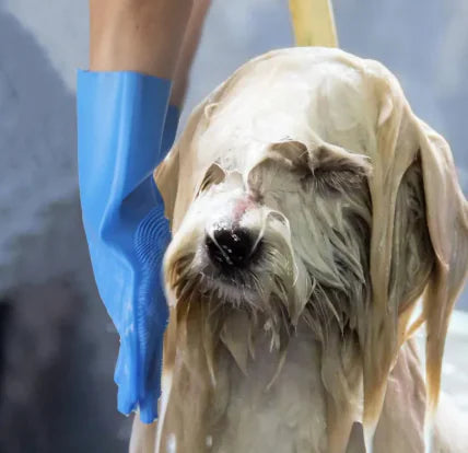 Iyer's Pet Co - Pet Grooming Gloves