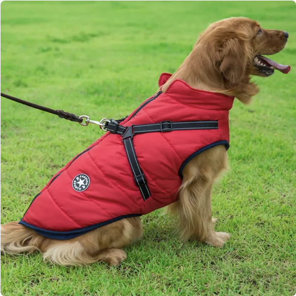 Iyer's Pet Co - Reflective Waterproof Dog Coat